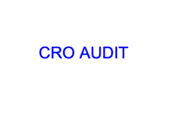 A Conversion Rate Optimization audit on your website