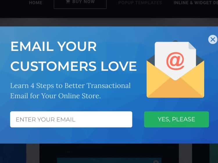 Complete mailchimp newsletter template | Upwork