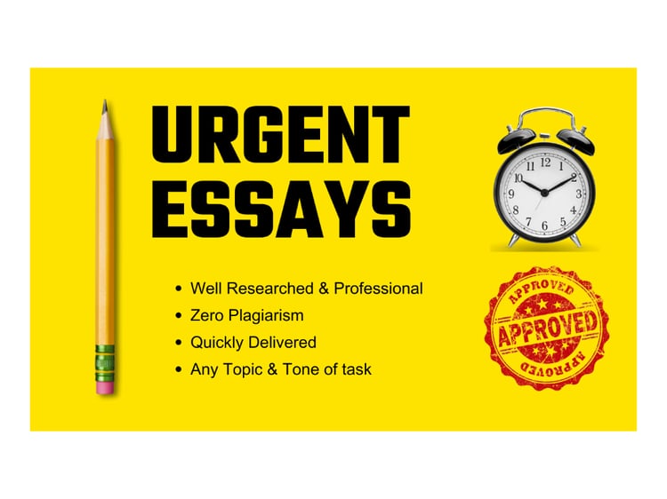 essay urgent work