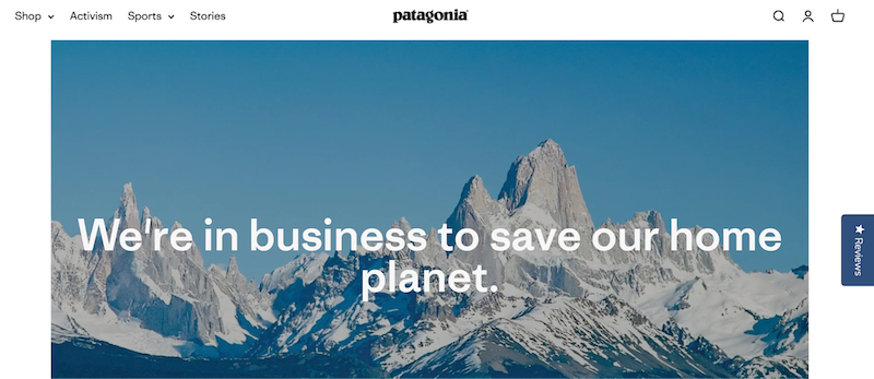 Patagonia's value proposition
