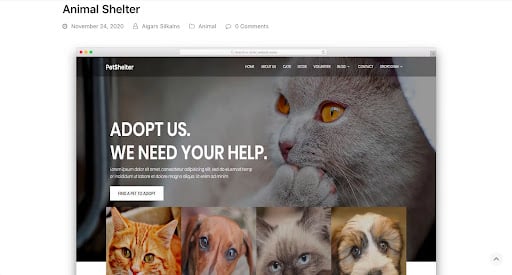 Animal Shelter