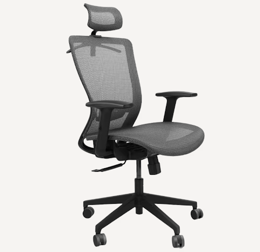 Flexispot Ergonomic Office Chair