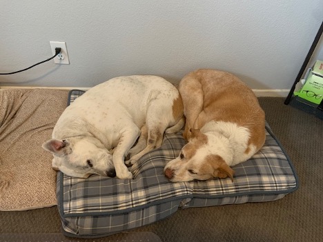 Malibu and Zuma