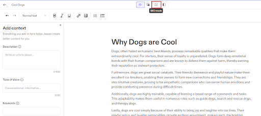 SEO optimization 4
