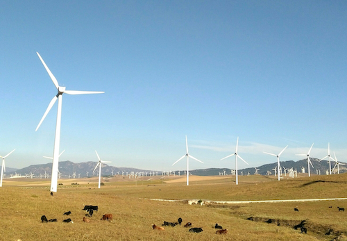Wind Farm