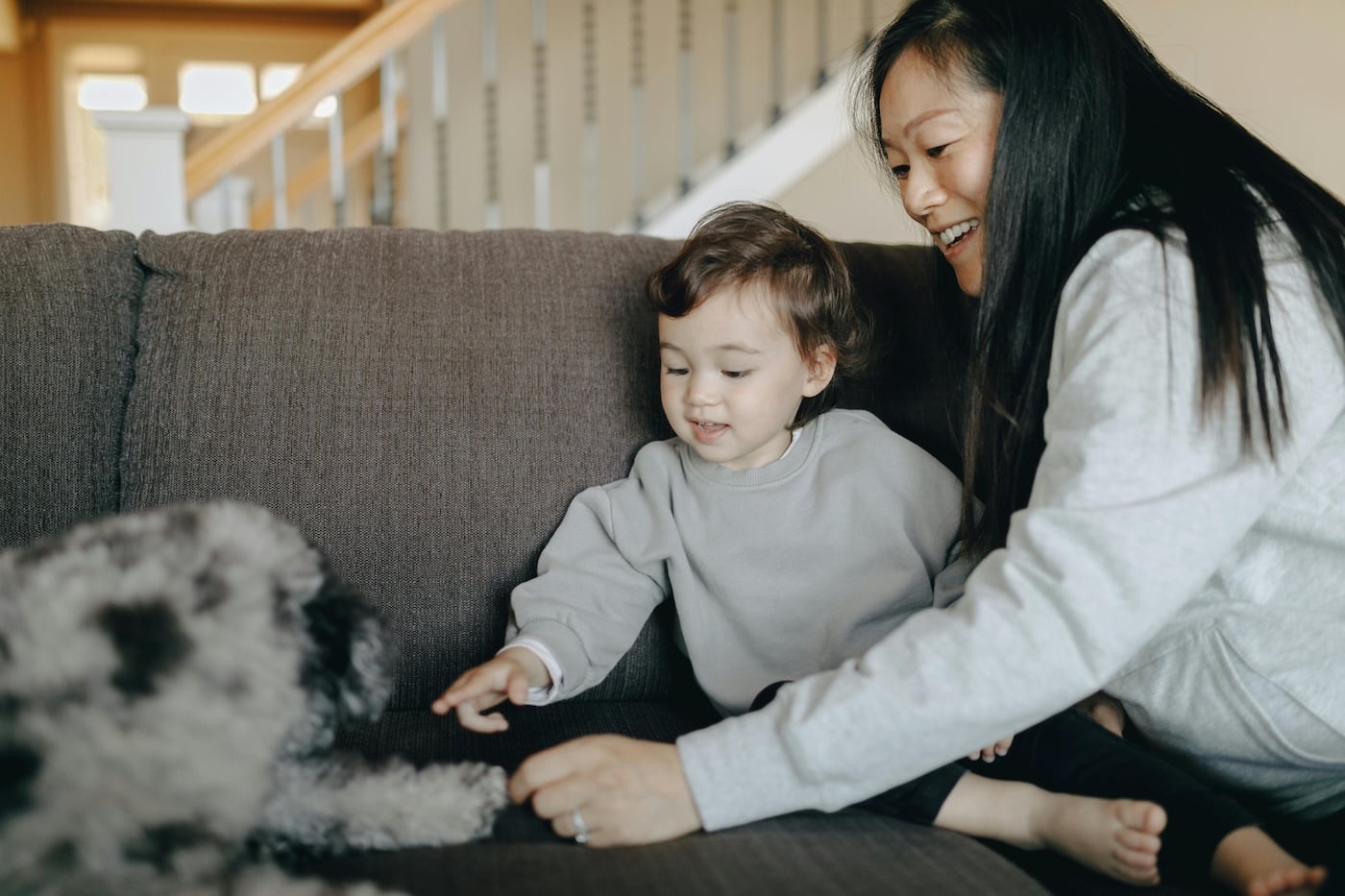 Pet Sitter