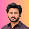 Mirza N.