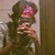 Shahzain R.
