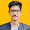 Shahzaib S.