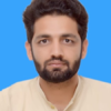 Hamid K.