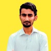 Pir D.