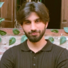 Ali H.