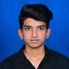 VINAYAK G.