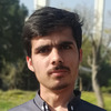 Touqeer S.