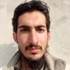 Muhammad F.