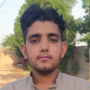 Muhammad Qamar S.