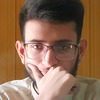 Faizan S.