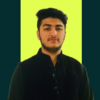 Shahzaib M.