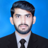 Muhammad F.