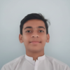 Mahin N.