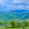 Sri S.