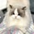 Cherrie Ann N.