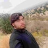 Waheed U.