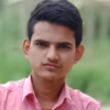 Aayush P.