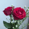 Faaiqa F.