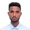 Habtamu N.