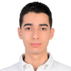 Mohamed Amr D.