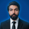 Syed Zulqarnain H.