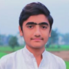 Shayan V.