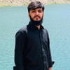 Muhammad Waqas A.