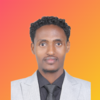 Temesgen Z.