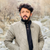 Syed Moeen U.