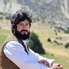 Mahmood H.