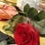 Ayesha K.