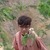 Syed Adeeb S.