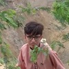Syed Adeeb S.
