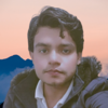 Zeshan I.