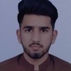 Muhammad Awais L.