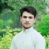 Aqaib K.