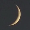 Noor U.