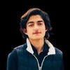 Hamid R.