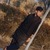 Anees K.