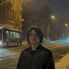 Vadim S.
