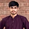 Syed Ali A.