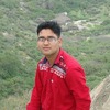 Mayank S.