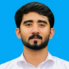 Muhammad Hamza K.